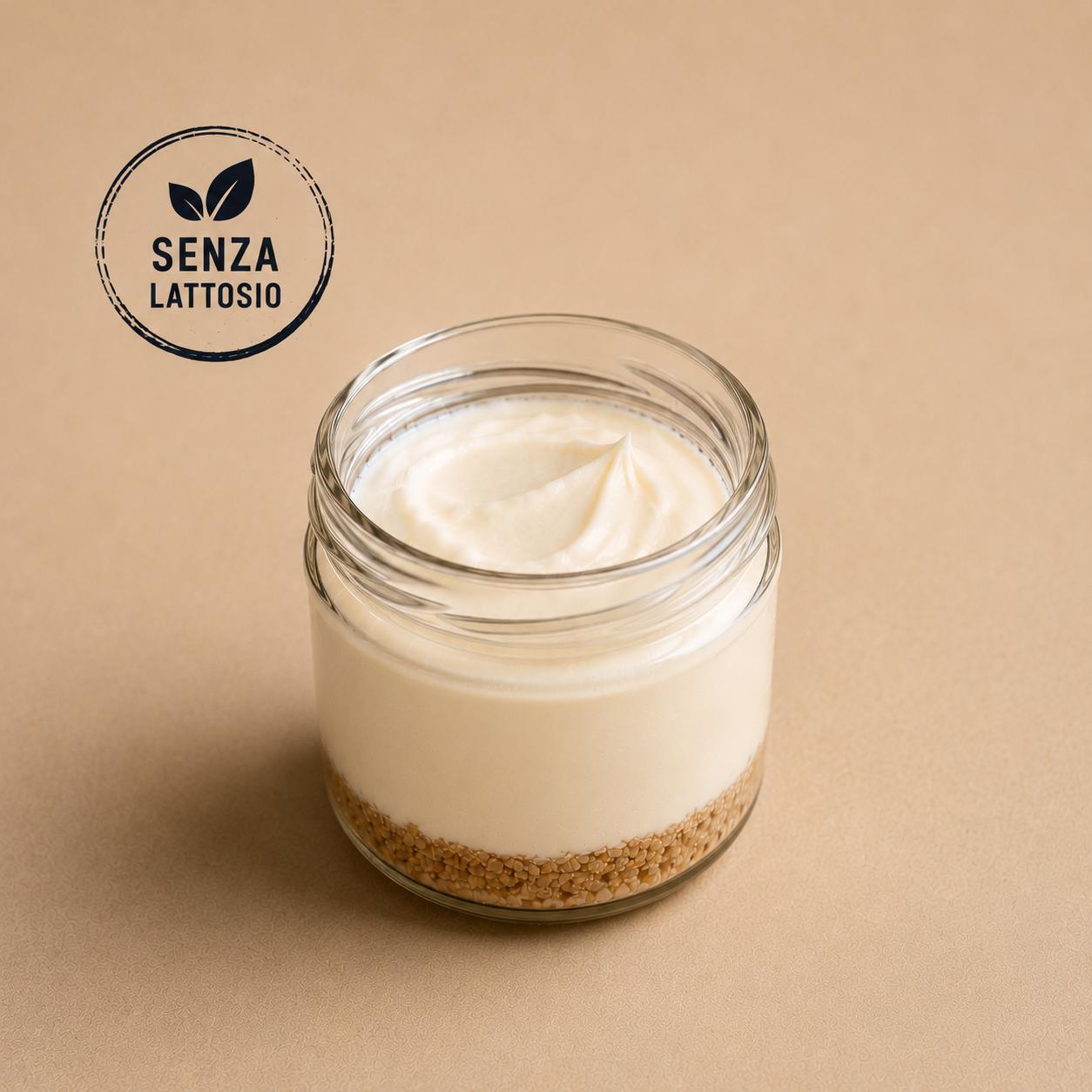 Cheesecake senza Lattosio 
